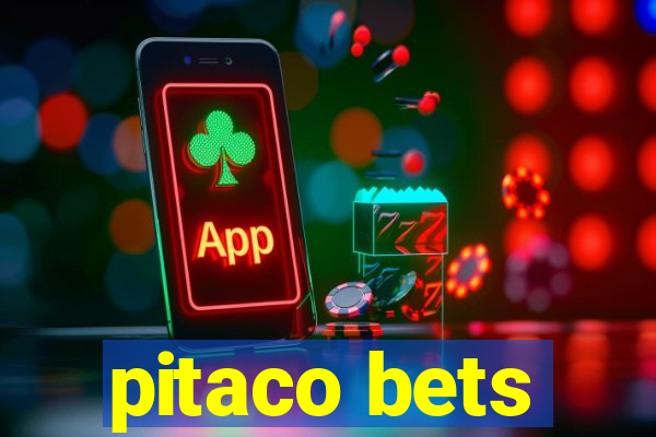 pitaco bets