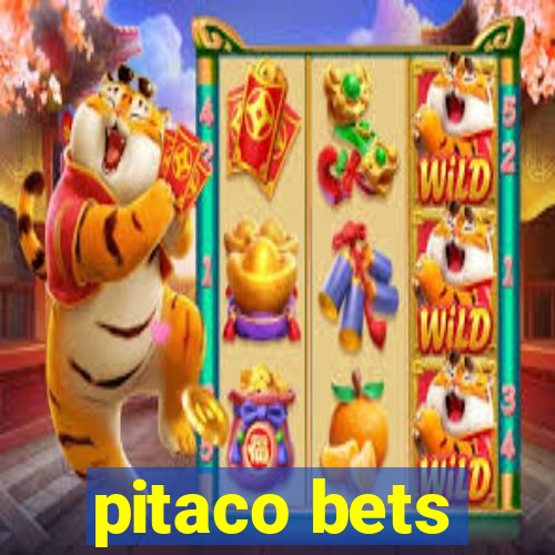 pitaco bets