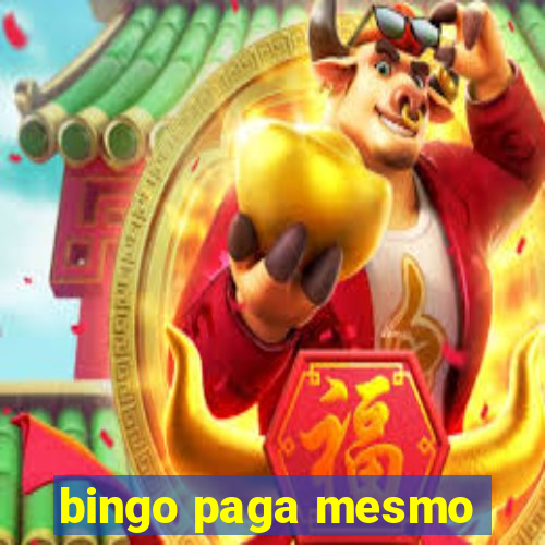 bingo paga mesmo