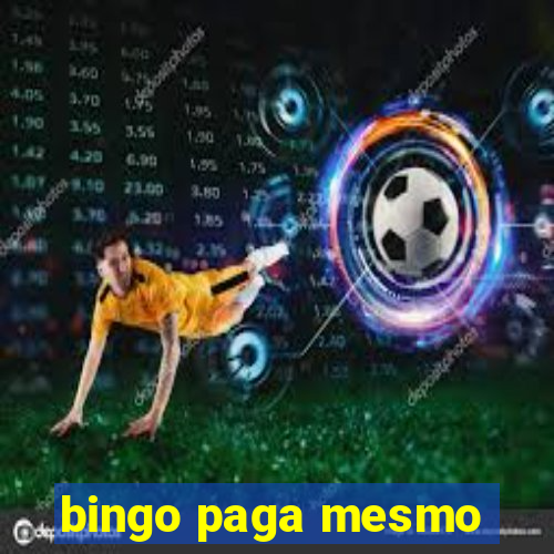 bingo paga mesmo