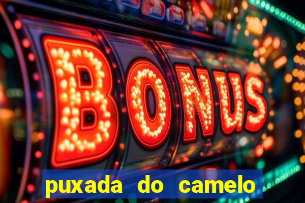 puxada do camelo jogo do bicho