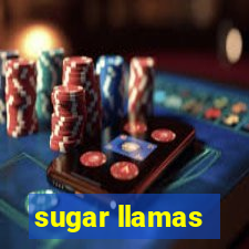 sugar llamas