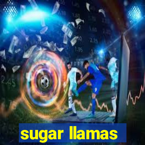 sugar llamas