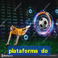 plataforma do coelho fortuna