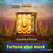 fortune elon musk