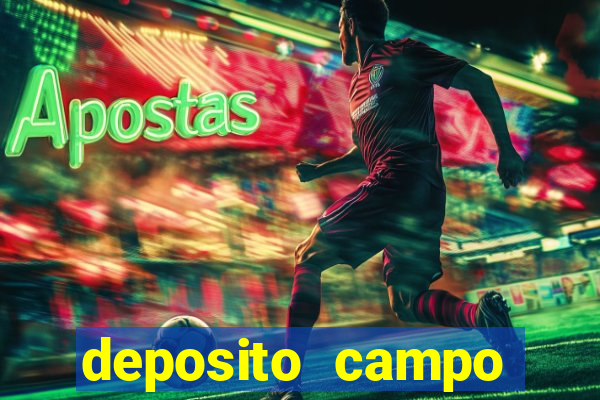 deposito campo grande santos