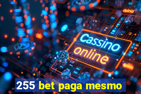 255 bet paga mesmo