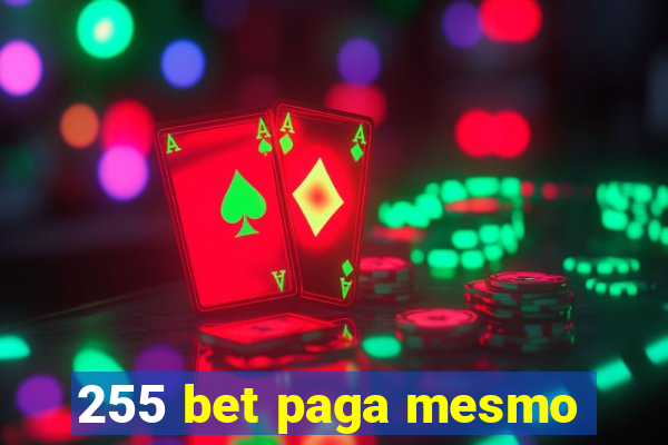 255 bet paga mesmo