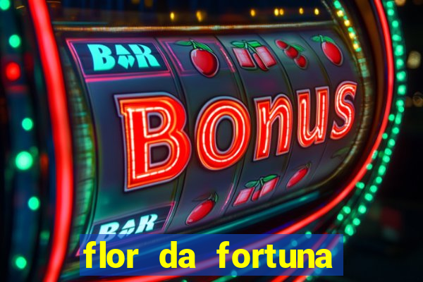 flor da fortuna como cuidar