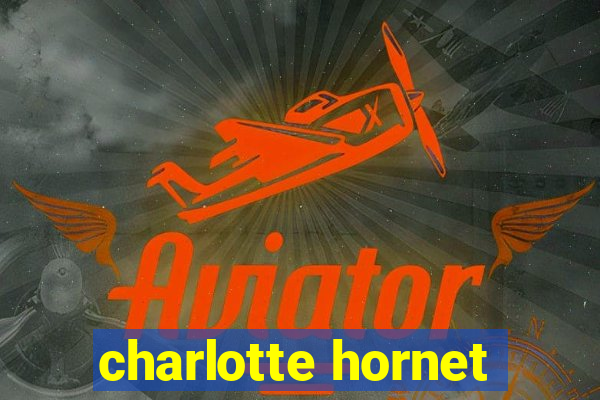 charlotte hornet