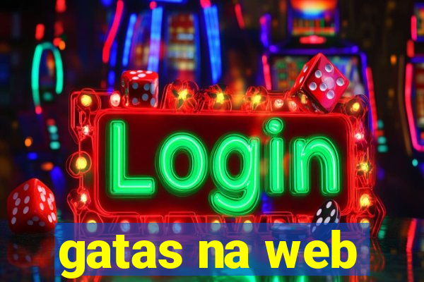 gatas na web