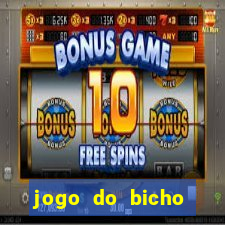 jogo do bicho online ganhar dinheiro