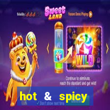 hot & spicy megaways slot