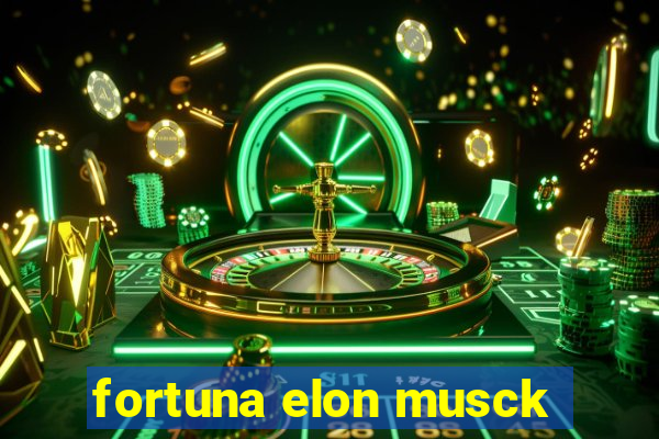 fortuna elon musck