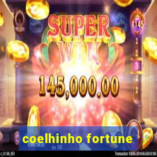 coelhinho fortune