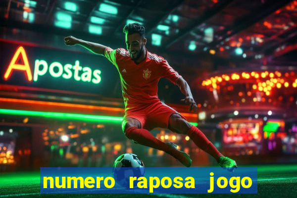 numero raposa jogo do bicho