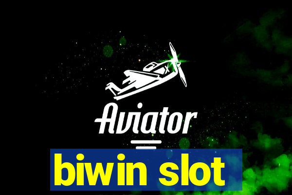 biwin slot