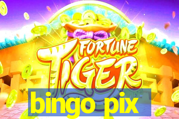 bingo pix