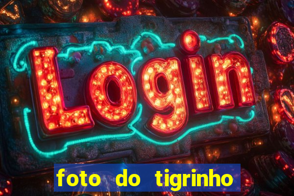 foto do tigrinho do jogo