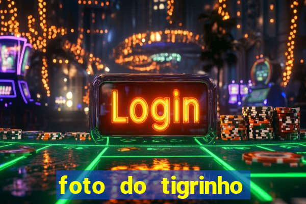 foto do tigrinho do jogo