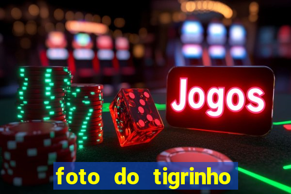 foto do tigrinho do jogo