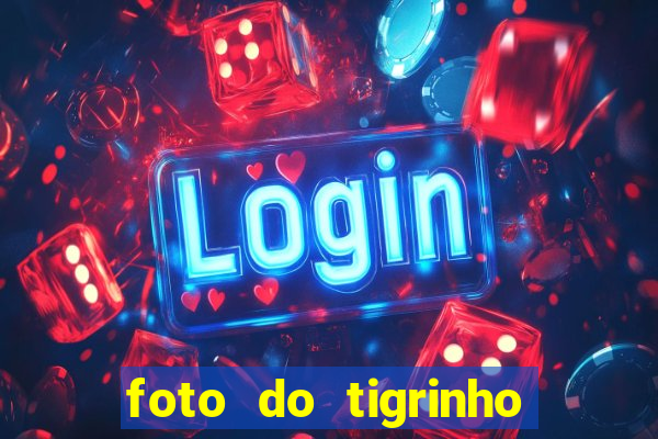 foto do tigrinho do jogo