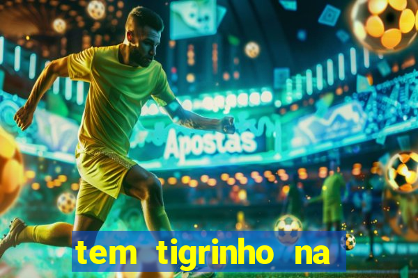 tem tigrinho na bet 365