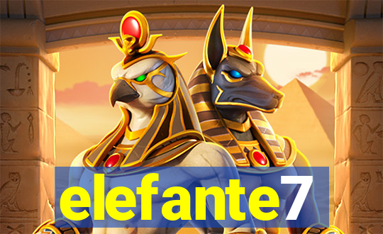 elefante7