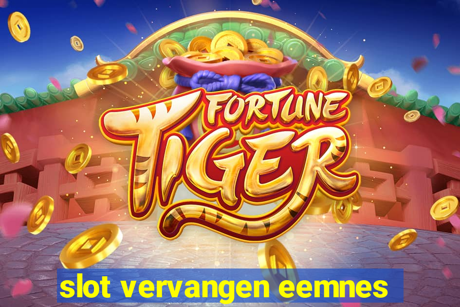 slot vervangen eemnes