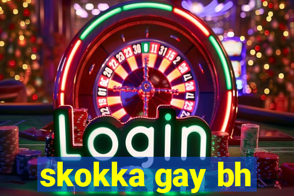 skokka gay bh