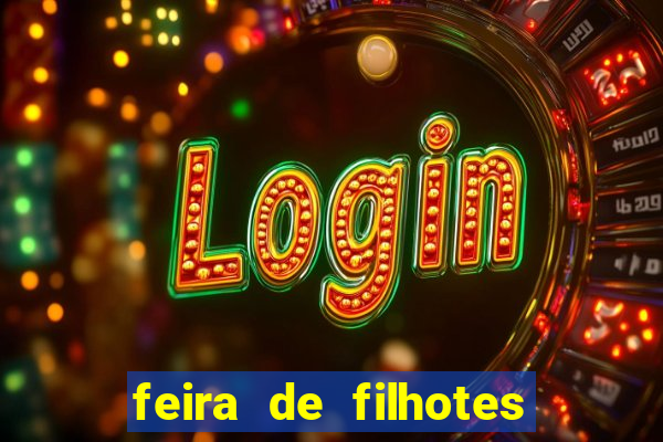 feira de filhotes porto alegre