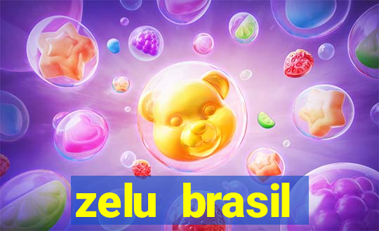 zelu brasil facilitadora de pagamentos ltda jogos