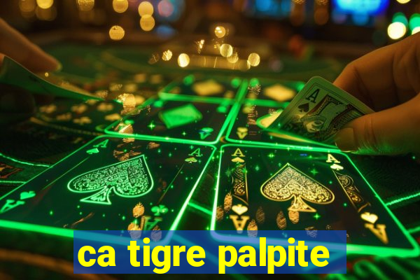 ca tigre palpite