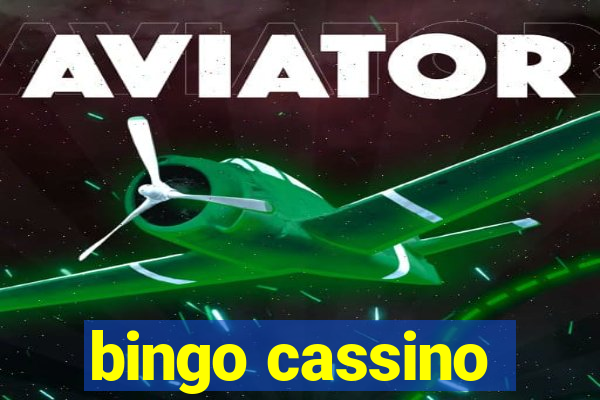 bingo cassino