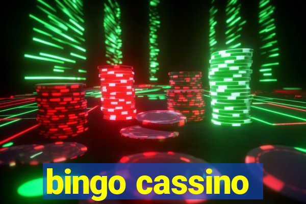 bingo cassino