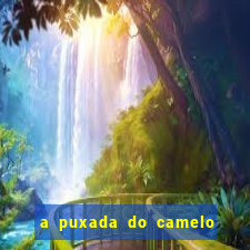 a puxada do camelo no jogo do bicho