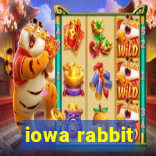 iowa rabbit