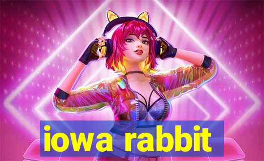 iowa rabbit