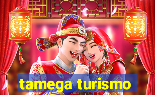 tamega turismo