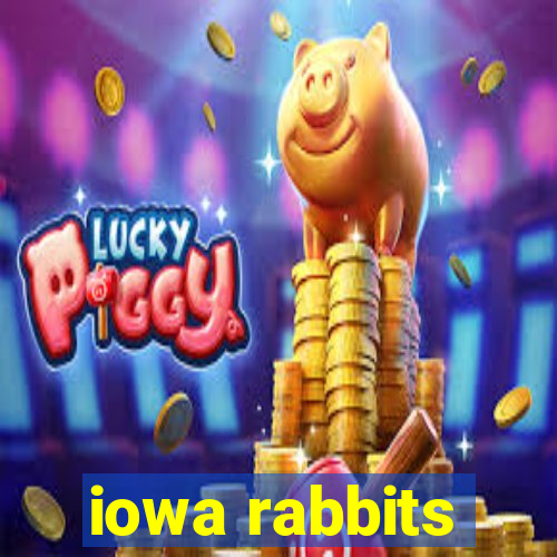 iowa rabbits