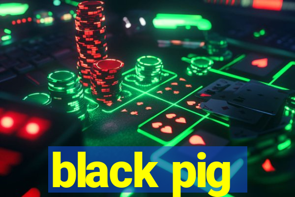 black pig