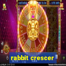 rabbit crescer