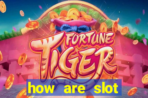 how are slot machines programmed