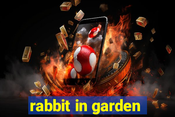 rabbit in garden