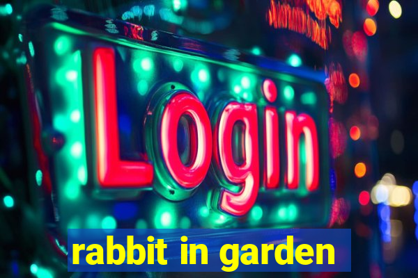 rabbit in garden