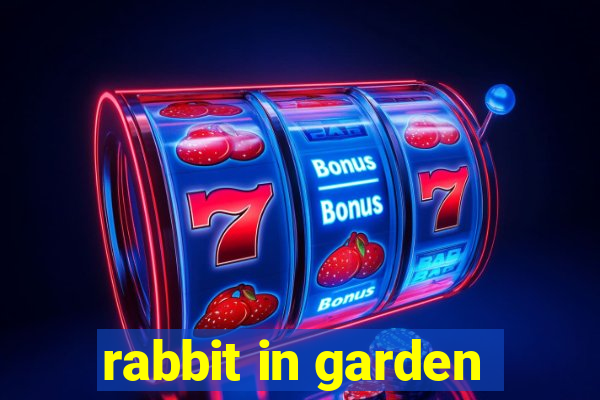 rabbit in garden