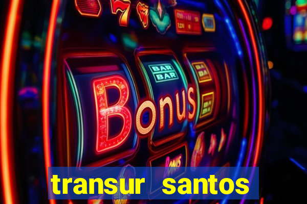 transur santos dumont x juiz de fora 2024