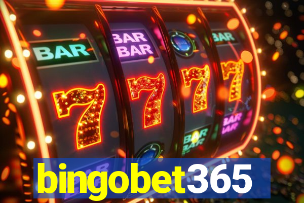 bingobet365