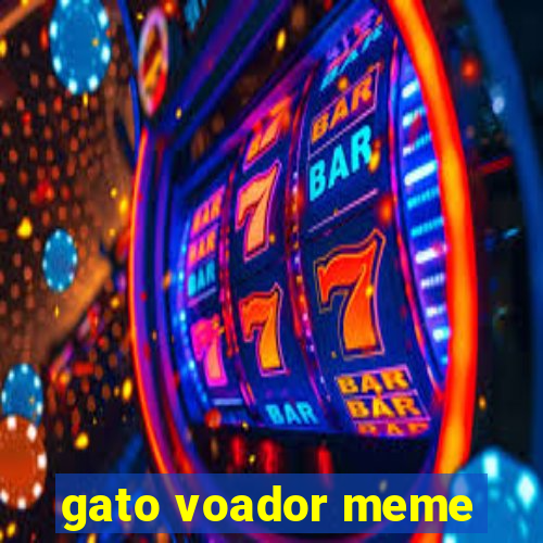 gato voador meme