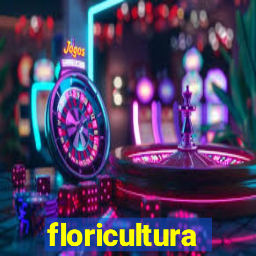 floricultura cruzeiro novo